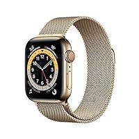 Apple Watch Series 6 (GPS + Cellular, 40 mm) Cassa in acciaio inossida...